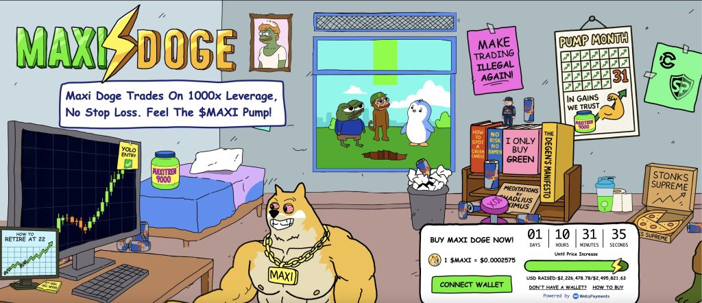 Maxi Doug's subscription interface and its most important data